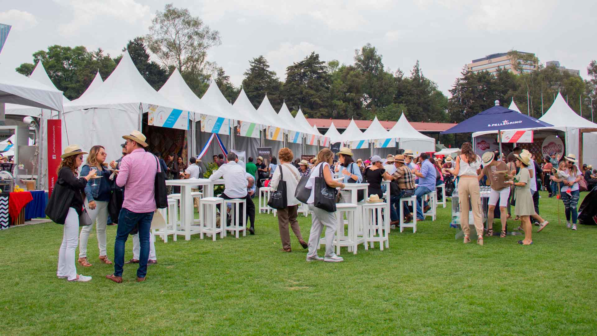 Imagen noticia Festivales al Parque