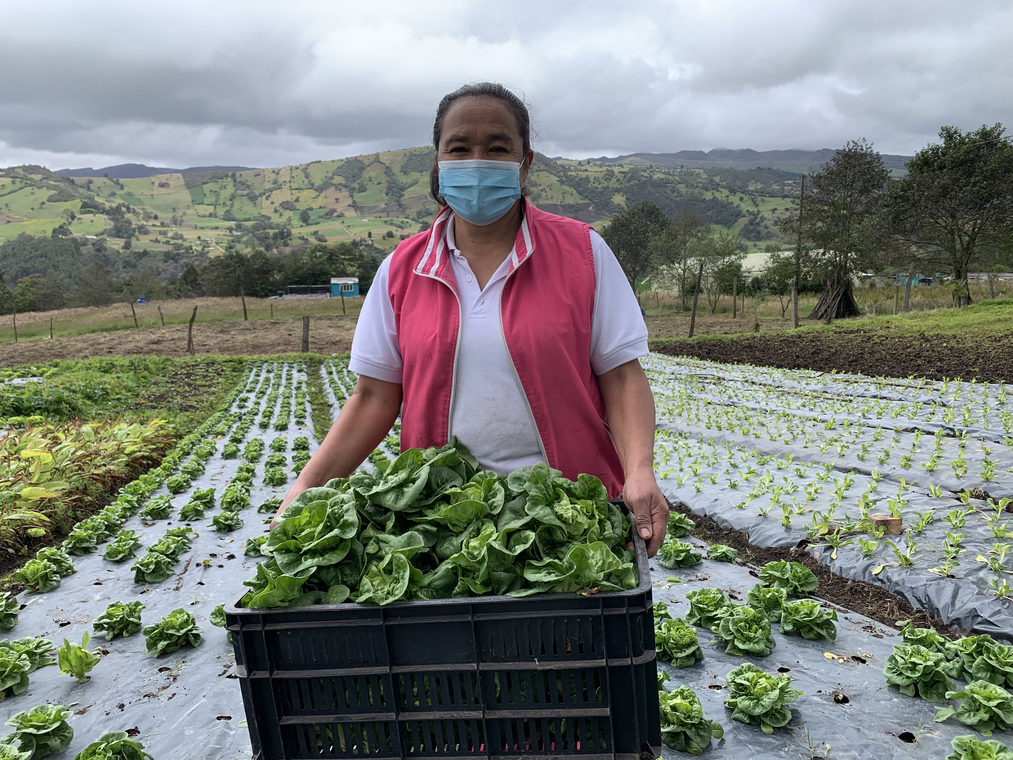 Imagen noticia Las mujeres campesinas de Bogotá