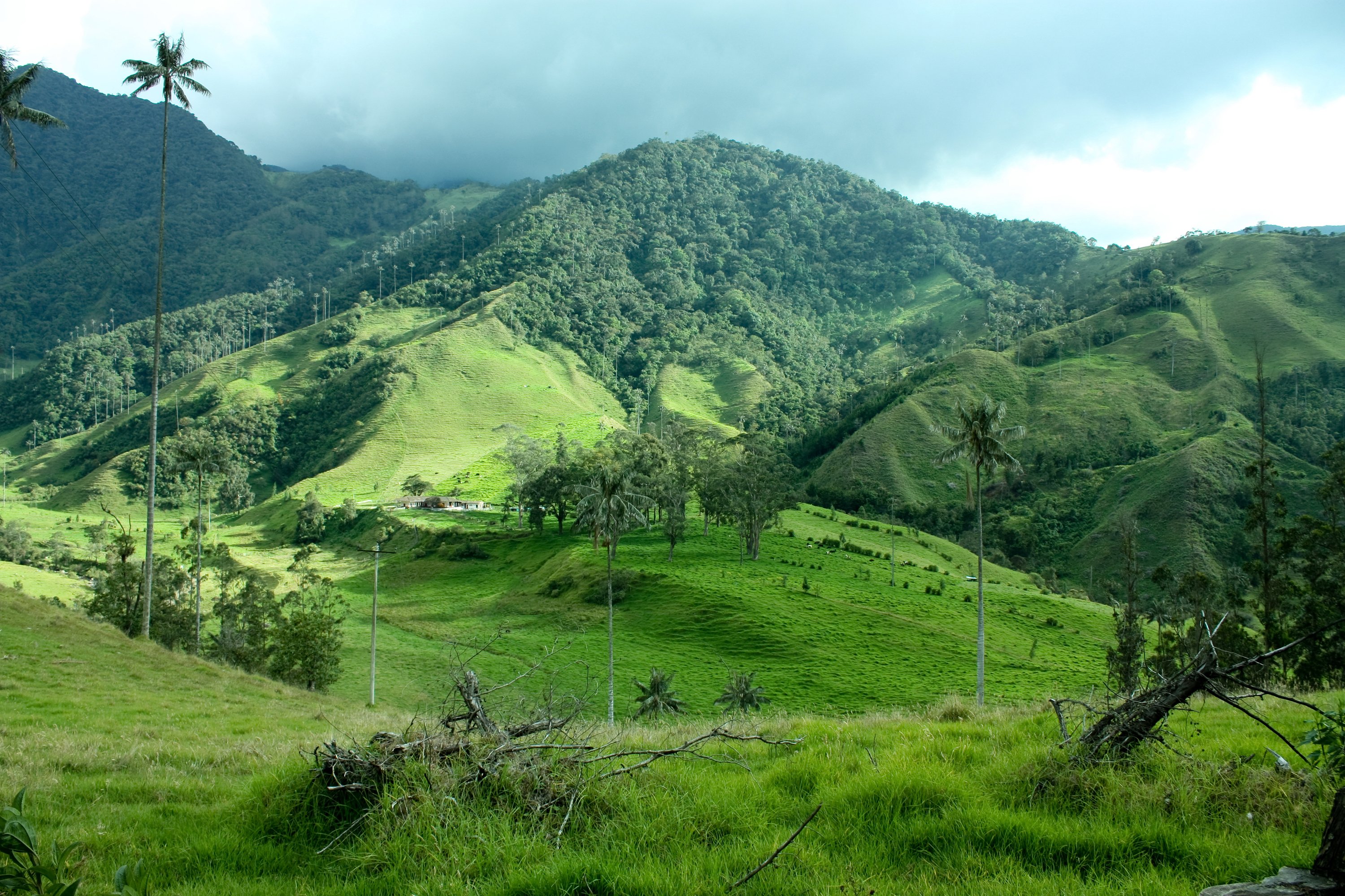 Imagen noticia ‘Simposio Internacional en Administración de Tierras’