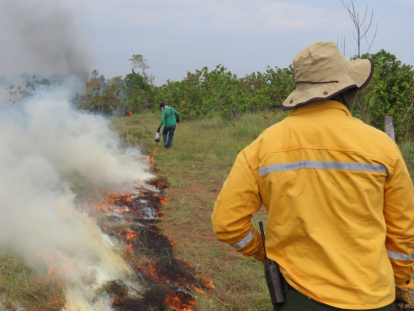 Imagen noticia ¿Cómo afectan los incendios a los ecosistemas?