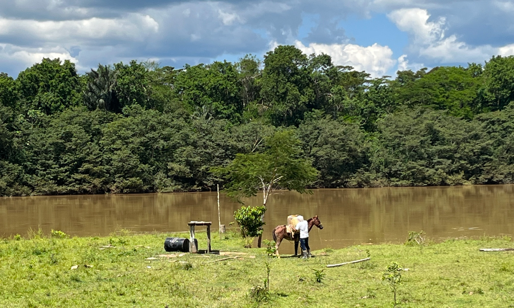 Imagen noticia De 361 crímenes contra líderes ambientales solo dos están en investigación