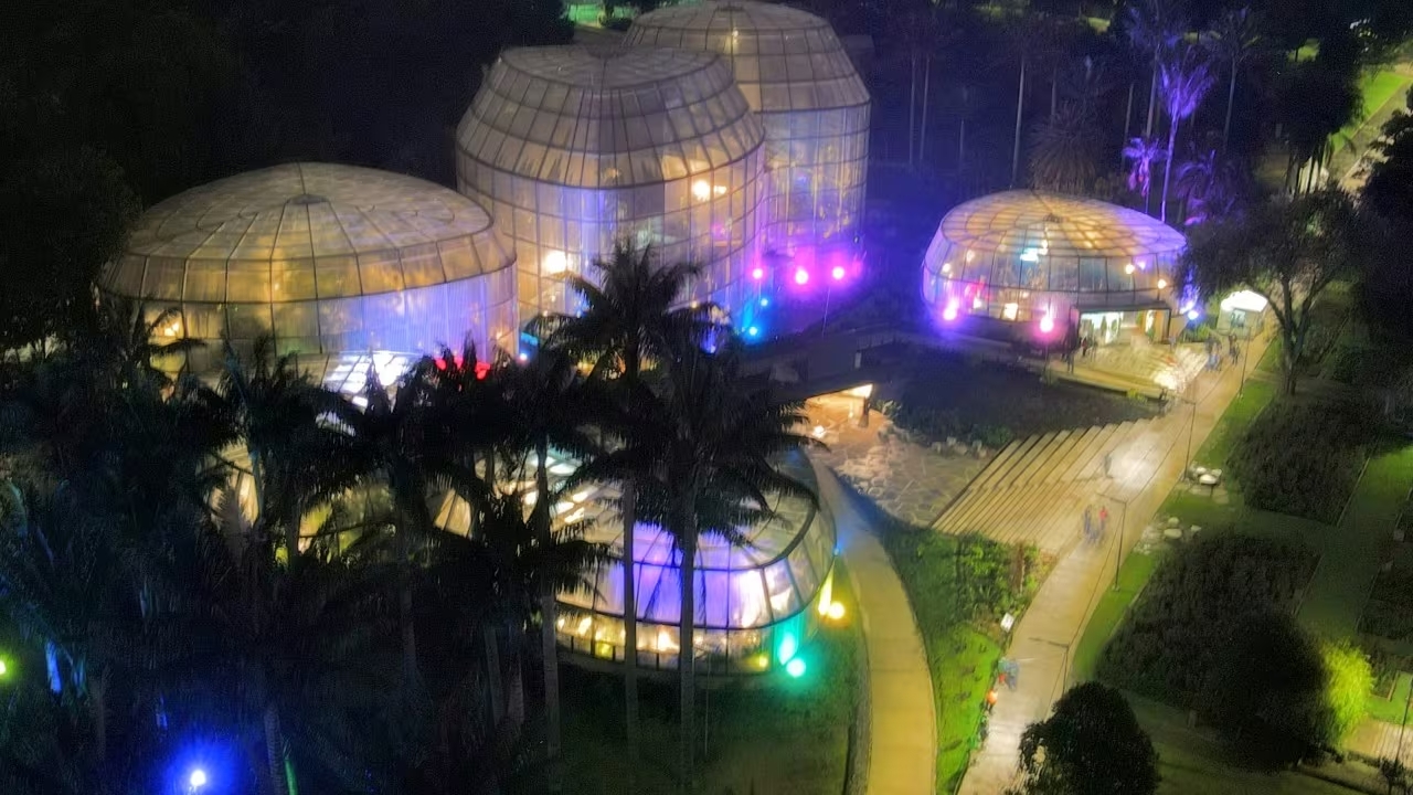 Imagen noticia Con cine bajo las estrellas inicia la temporada navideña del Jardín Botánico 