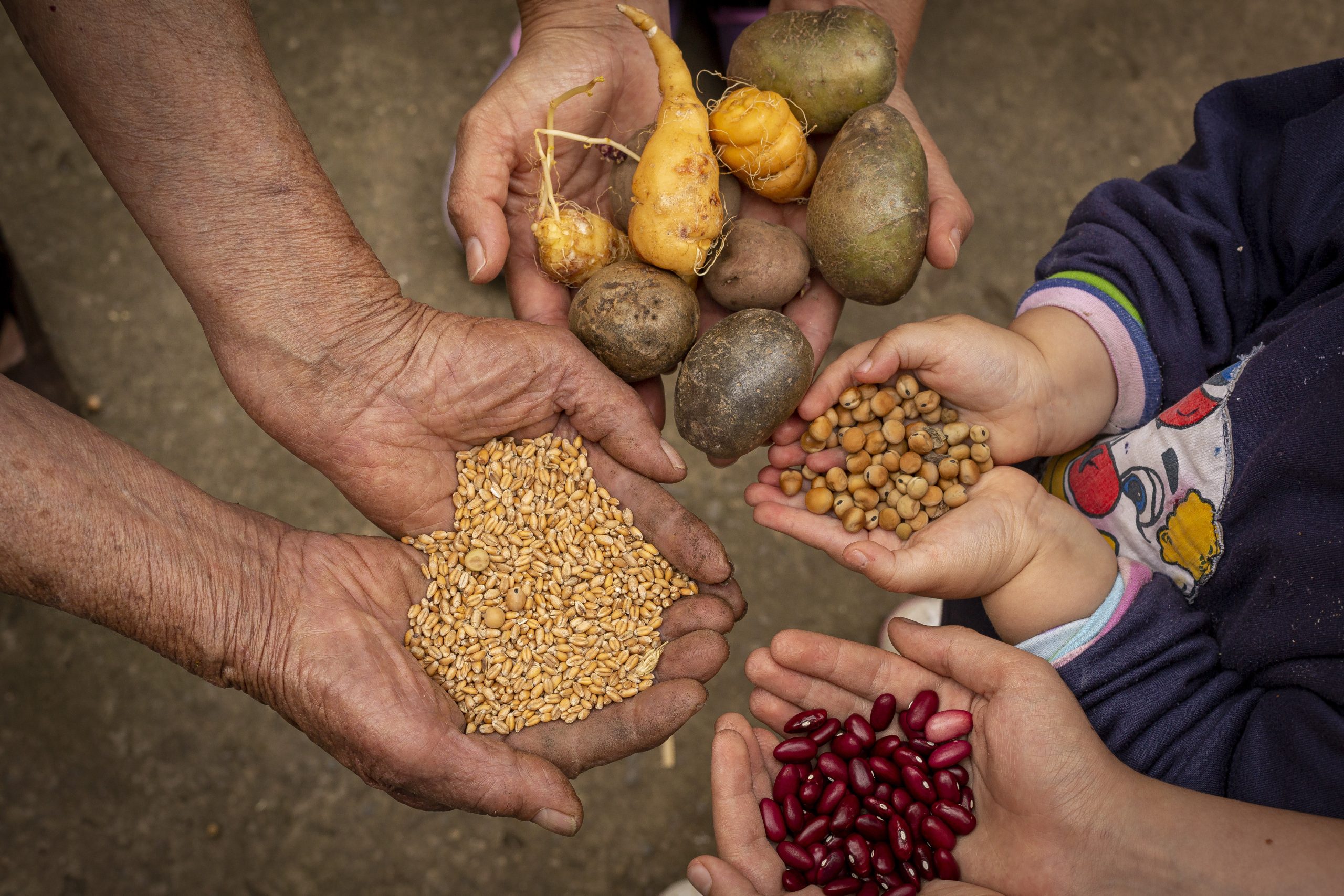 Imagen noticia La alimentación es reconocida como un derecho fundamental en Colombia