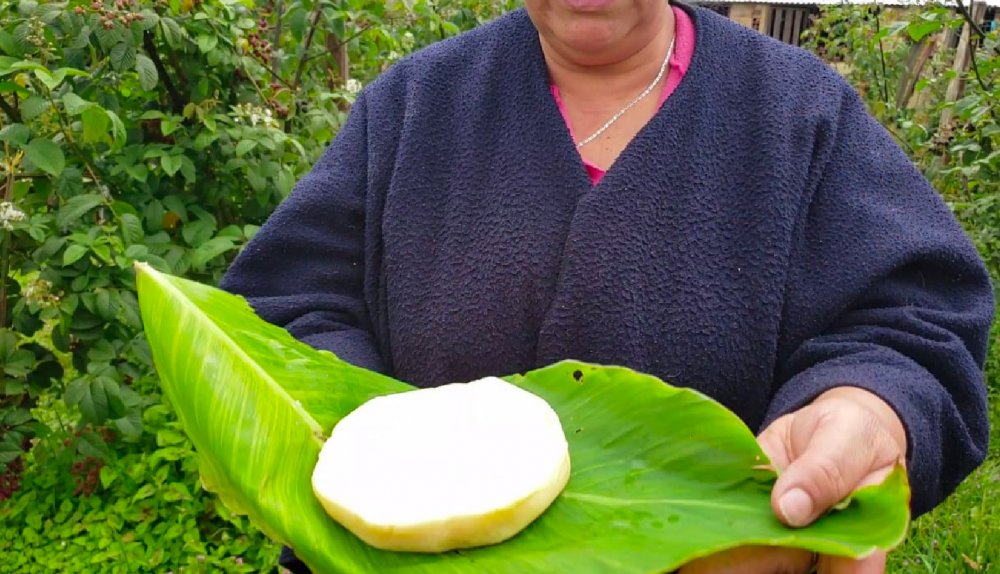 Imagen noticia Llega la Quesatón 2.0: Una deliciosa forma de apoyar a los campesinos